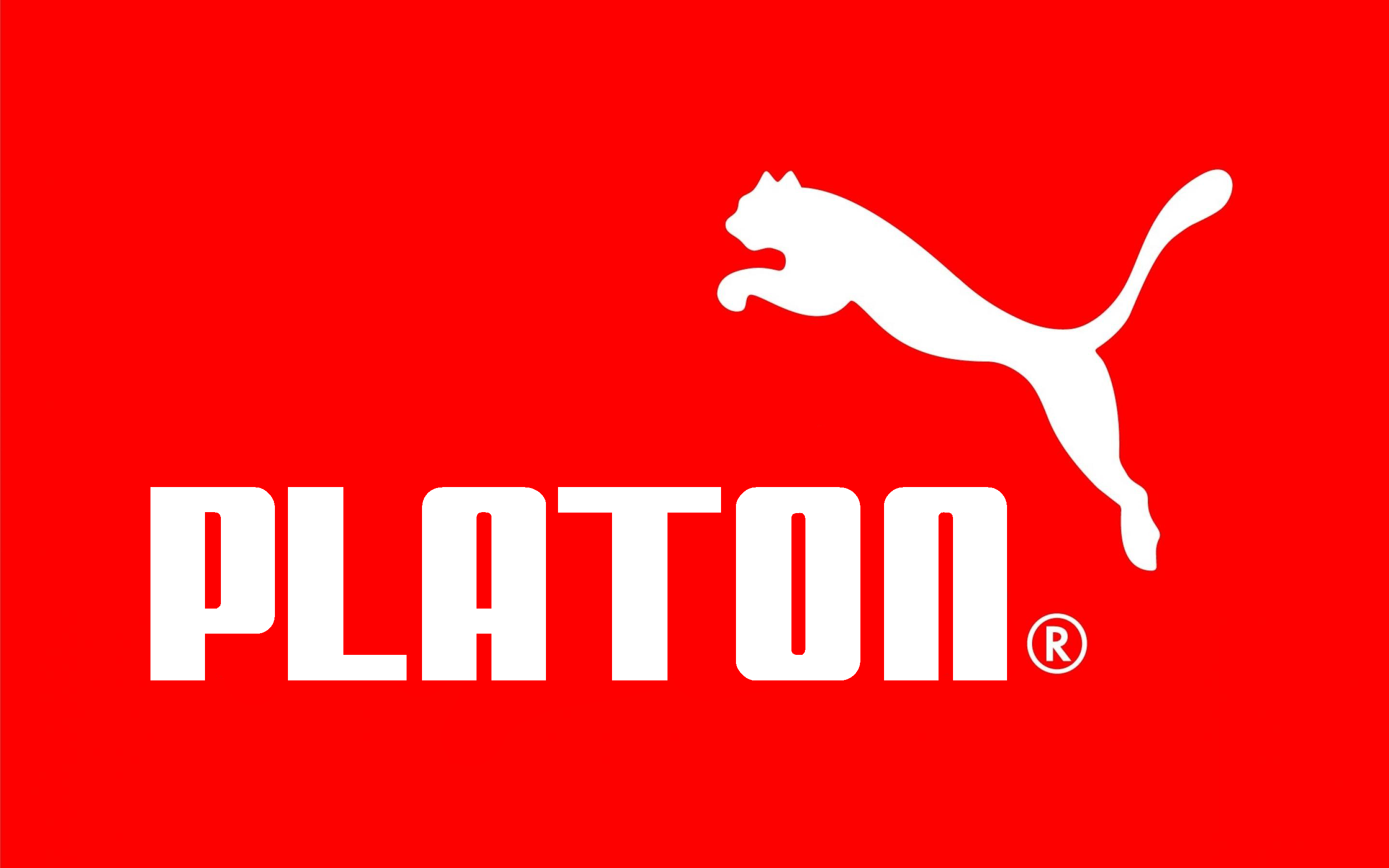 Puma — Platon