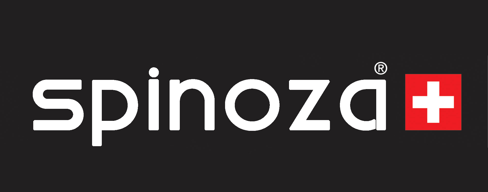 Swatch — Spinoza